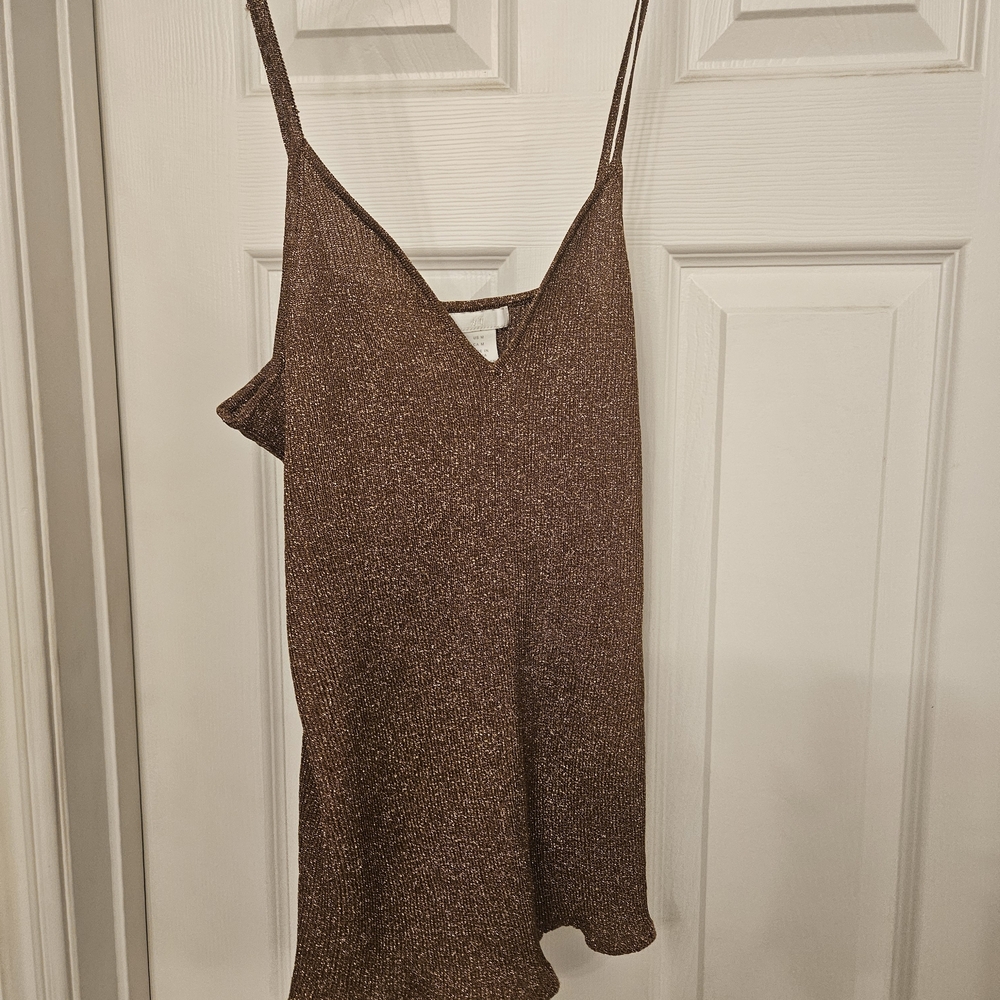 H&M Metallic Bronze Slip Dress